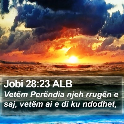 Jobi 28:23 ALB Bible Verse Image