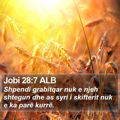 Jobi 28:7 ALB Bible Verse Image