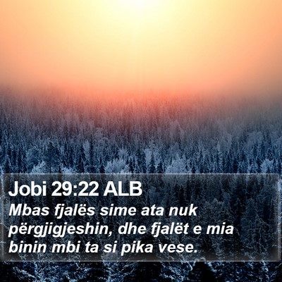Jobi 29:22 ALB Bible Verse Image
