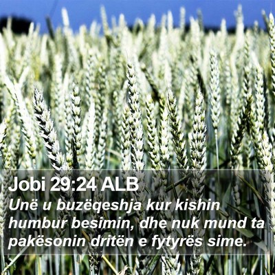Jobi 29:24 ALB Bible Verse Image