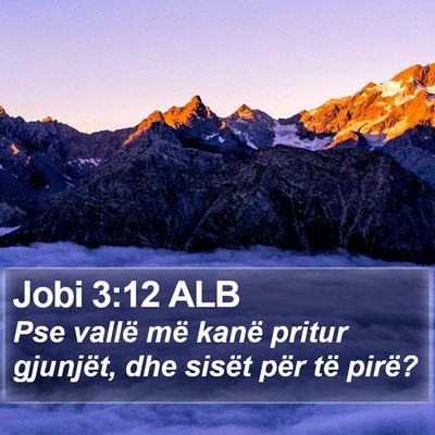 Jobi 3:12 ALB Bible Verse Image
