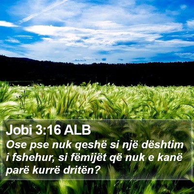 Jobi 3:16 ALB Bible Verse Image
