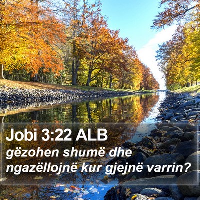 Jobi 3:22 ALB Bible Verse Image