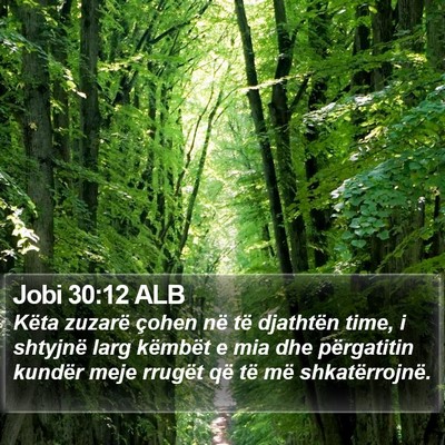 Jobi 30:12 ALB Bible Verse Image