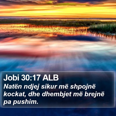 Jobi 30:17 ALB Bible Verse Image