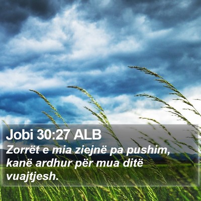 Jobi 30:27 ALB Bible Verse Image