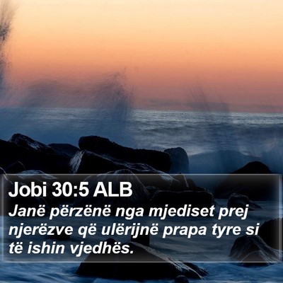 Jobi 30:5 ALB Bible Verse Image