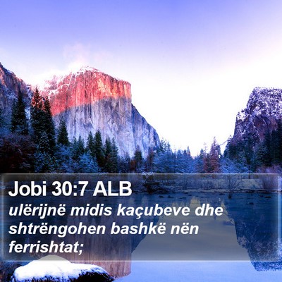 Jobi 30:7 ALB Bible Verse Image