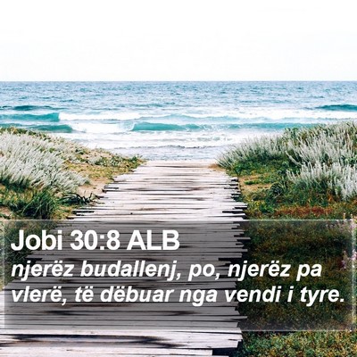 Jobi 30:8 ALB Bible Verse Image