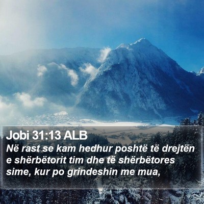 Jobi 31:13 ALB Bible Verse Image