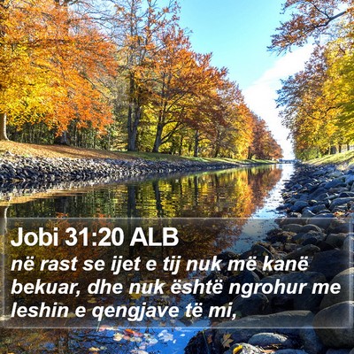 Jobi 31:20 ALB Bible Verse Image