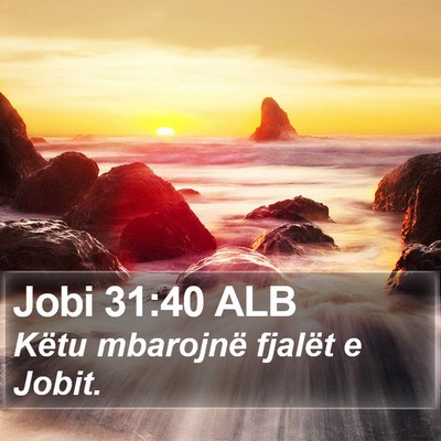 Jobi 31:40 ALB Bible Verse Image