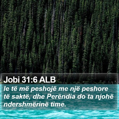 Jobi 31:6 ALB Bible Verse Image