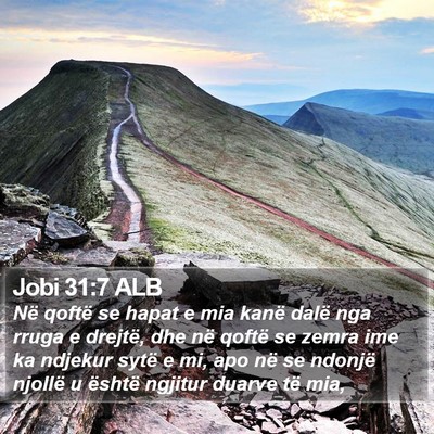 Jobi 31:7 ALB Bible Verse Image