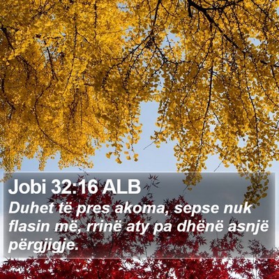 Jobi 32:16 ALB Bible Verse Image