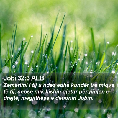 Jobi 32:3 ALB Bible Verse Image
