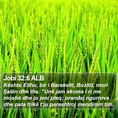 Jobi 32:6 ALB Bible Verse Image