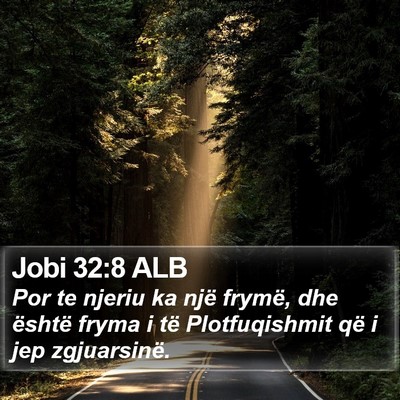 Jobi 32:8 ALB Bible Verse Image