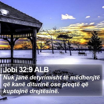 Jobi 32:9 ALB Bible Verse Image