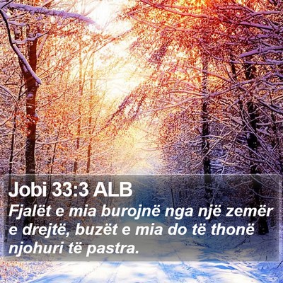 Jobi 33:3 ALB Bible Verse Image