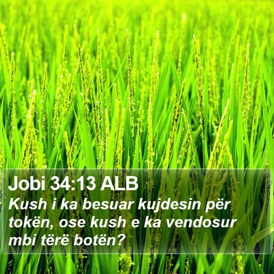 Jobi 34:13 ALB Bible Verse Image