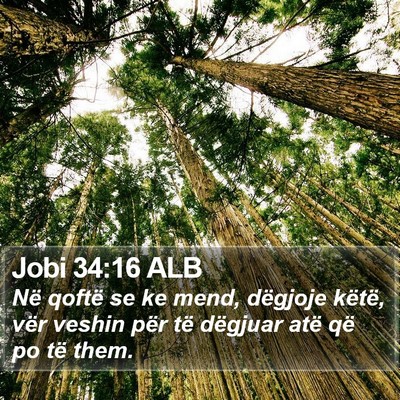 Jobi 34:16 ALB Bible Verse Image