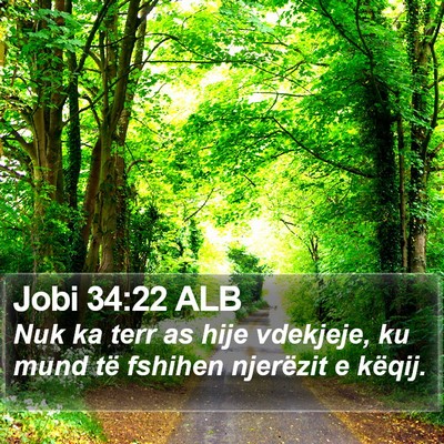 Jobi 34:22 ALB Bible Verse Image