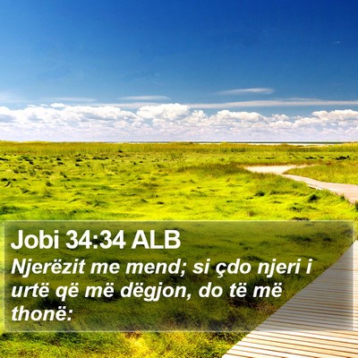 Jobi 34:34 ALB Bible Verse Image
