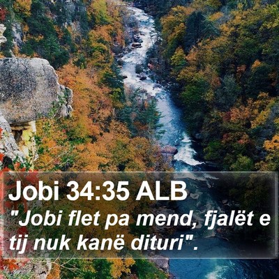 Jobi 34:35 ALB Bible Verse Image