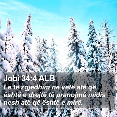 Jobi 34:4 ALB Bible Verse Image