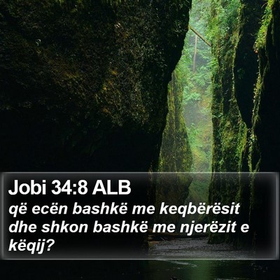 Jobi 34:8 ALB Bible Verse Image