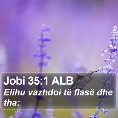 Jobi 35:1 ALB Bible Verse Image