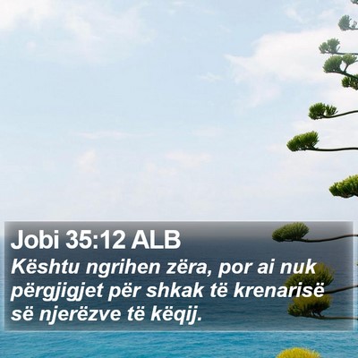 Jobi 35:12 ALB Bible Verse Image
