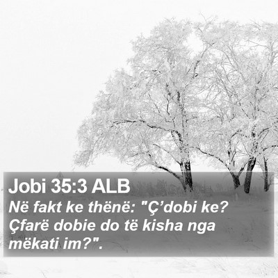Jobi 35:3 ALB Bible Verse Image