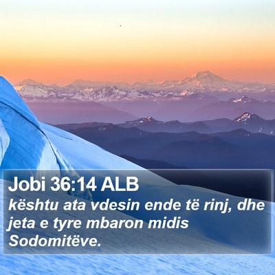 Jobi 36:14 ALB Bible Verse Image