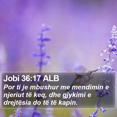Jobi 36:17 ALB Bible Verse Image