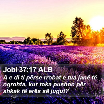 Jobi 37:17 ALB Bible Verse Image