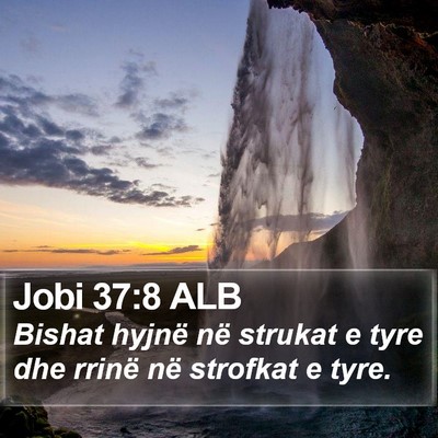 Jobi 37:8 ALB Bible Verse Image