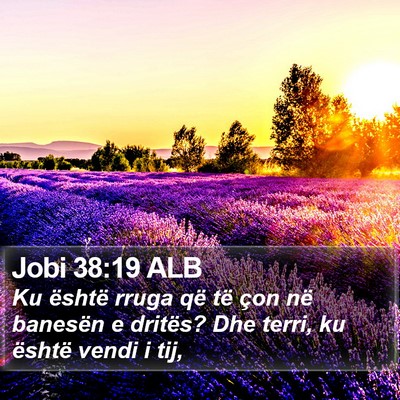 Jobi 38:19 ALB Bible Verse Image