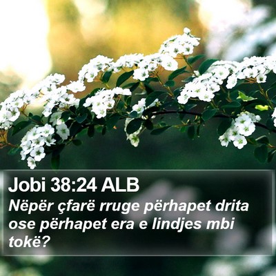 Jobi 38:24 ALB Bible Verse Image