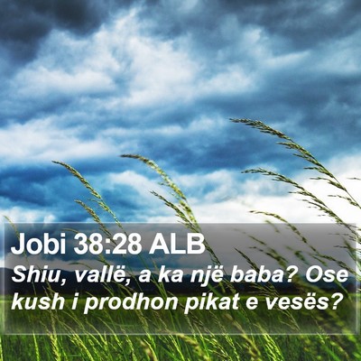 Jobi 38:28 ALB Bible Verse Image