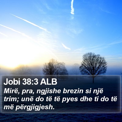 Jobi 38:3 ALB Bible Verse Image