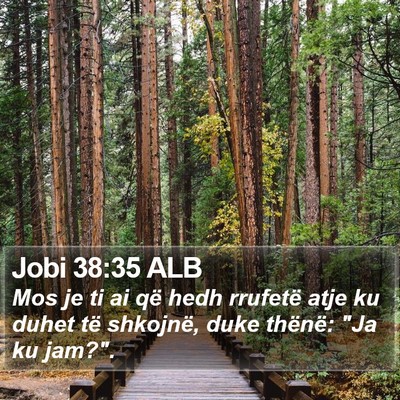 Jobi 38:35 ALB Bible Verse Image