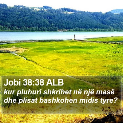 Jobi 38:38 ALB Bible Verse Image