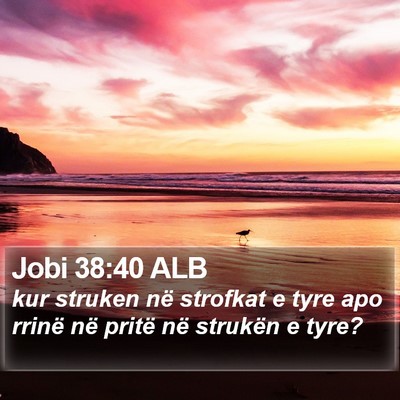 Jobi 38:40 ALB Bible Verse Image