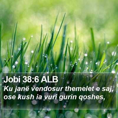 Jobi 38:6 ALB Bible Verse Image