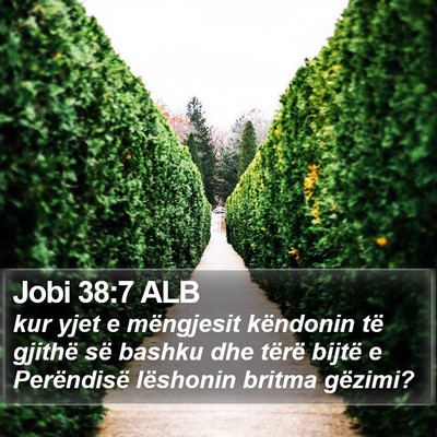 Jobi 38:7 ALB Bible Verse Image