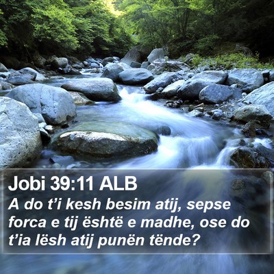 Jobi 39:11 ALB Bible Verse Image