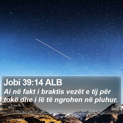 Jobi 39:14 ALB Bible Verse Image