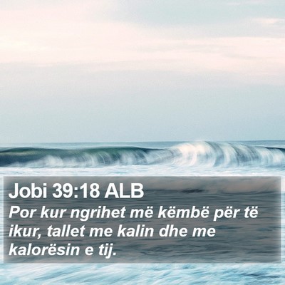 Jobi 39:18 ALB Bible Verse Image